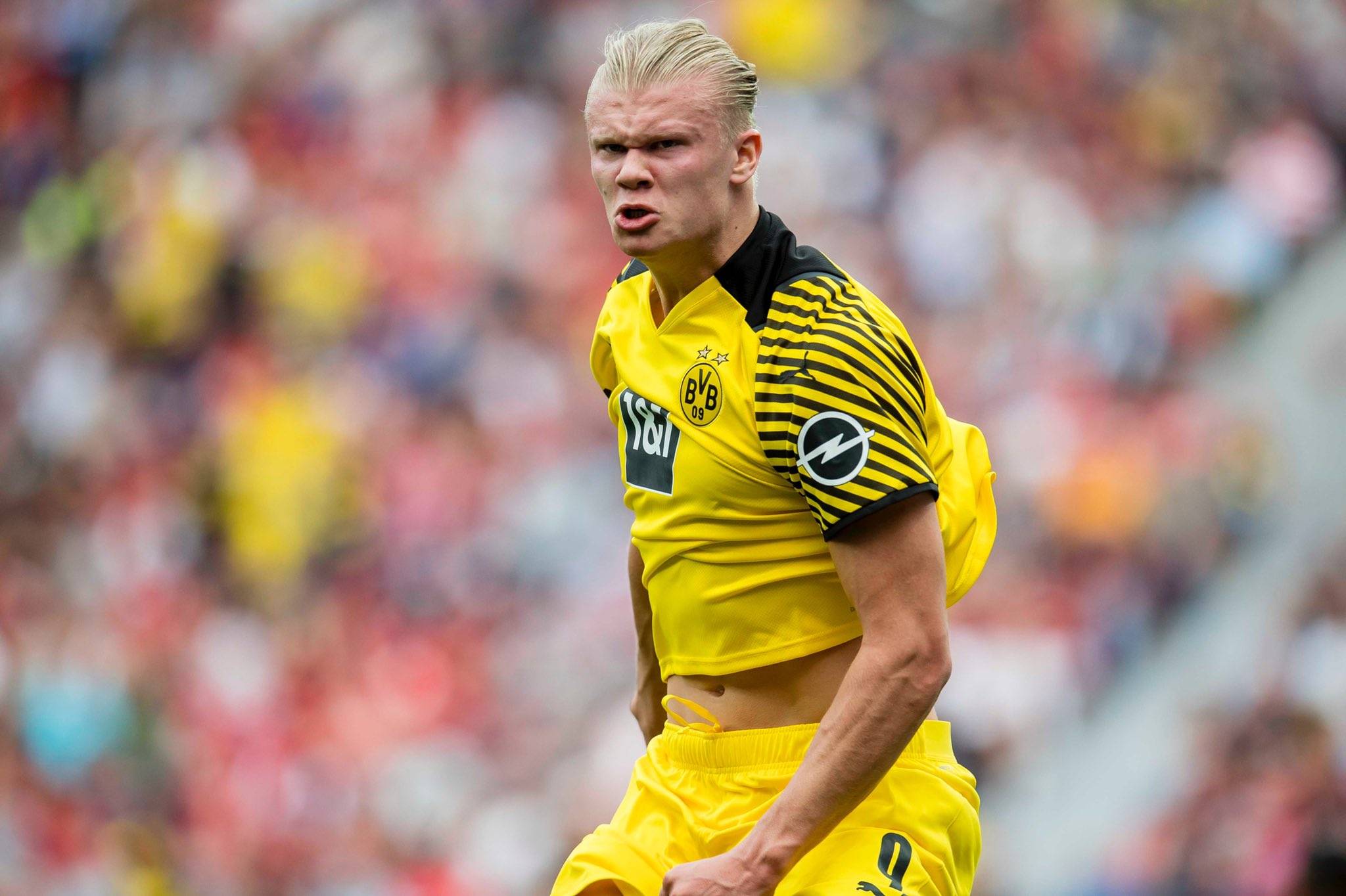 复盘重在 复盘重在