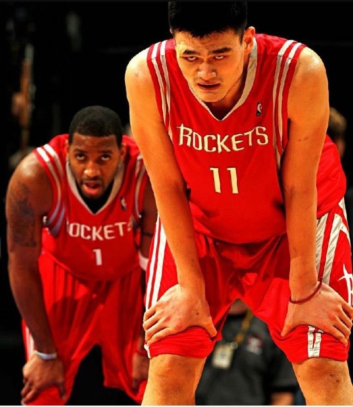 行为的稳定 行为的稳定