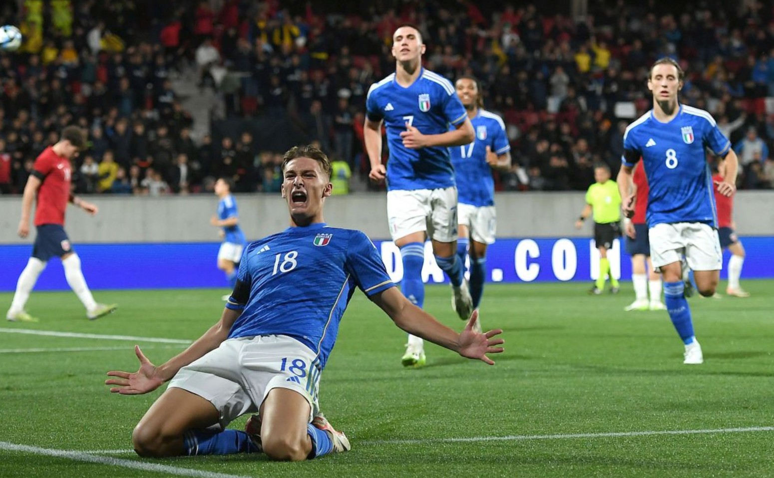 多元品类布 多元品类布